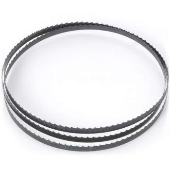 Record Power BB1111206 Bandsaw Blade 111Inch x 1/2Inch x 6tpi Record Power BB1111206 Bandsaw Blade 111Inch x 1/2Inch x 6tpi
