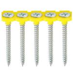 TIMco 3.5 x 42mm Collated Drywall Screws Fine Thread Zinc Qty 1000 TIMco 3.5 x 42mm Collated Drywall Screws Fine Thread Zinc Qty 1000